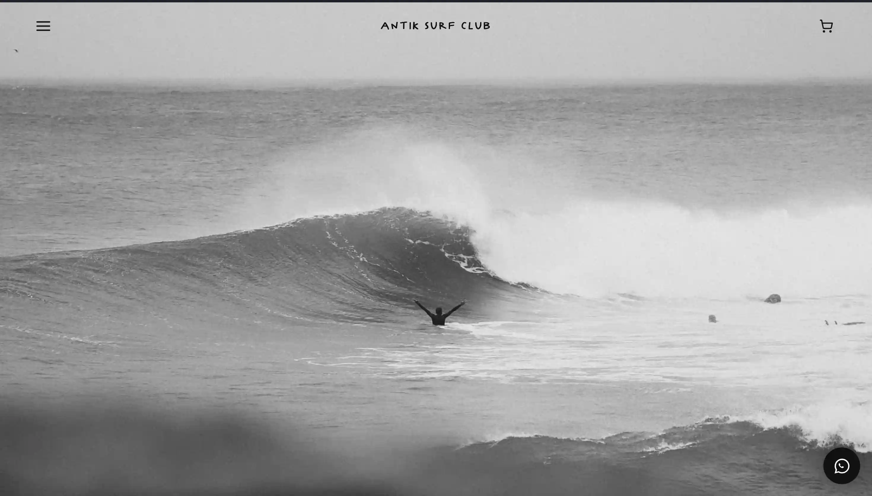Antik website